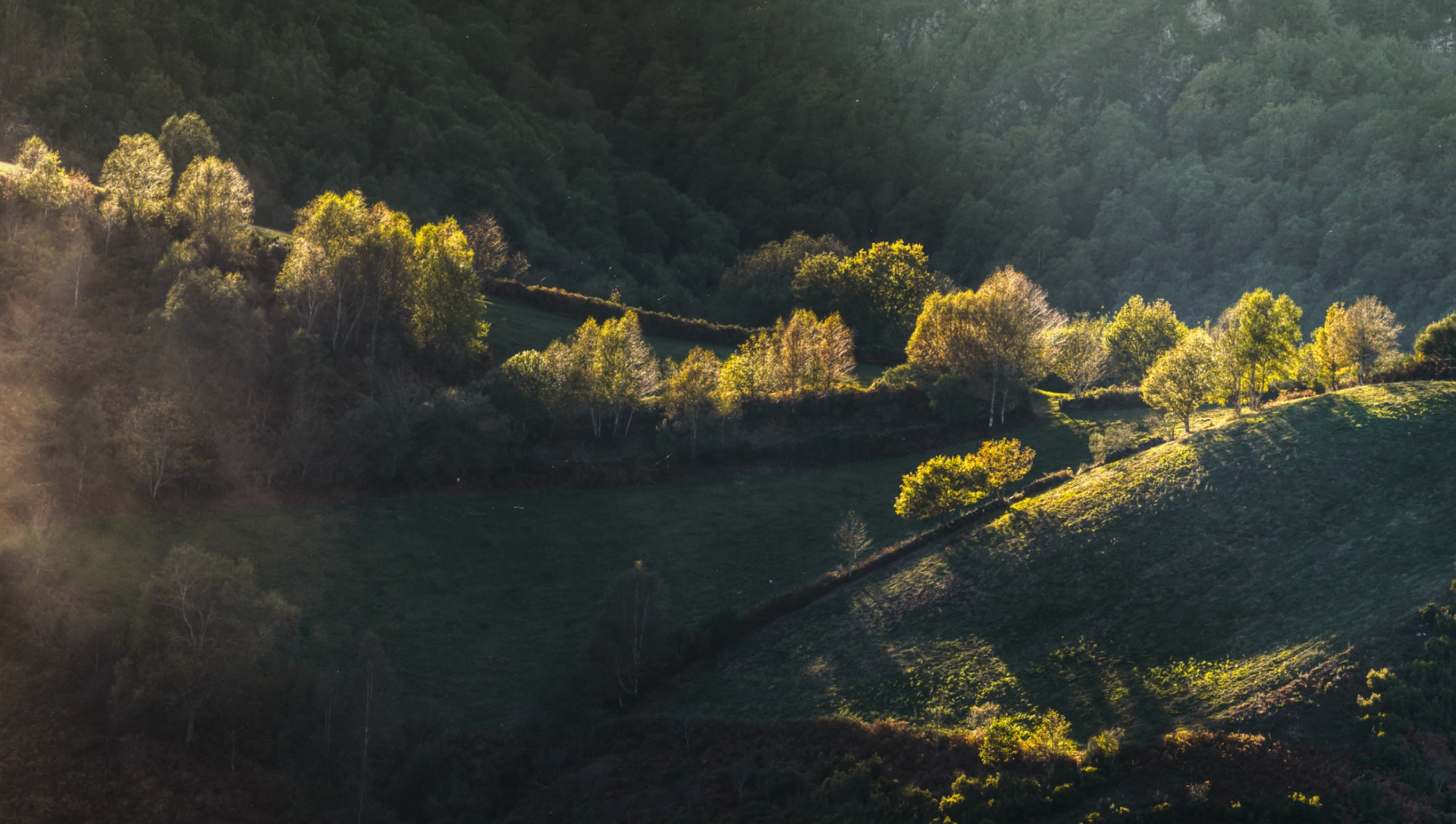 header